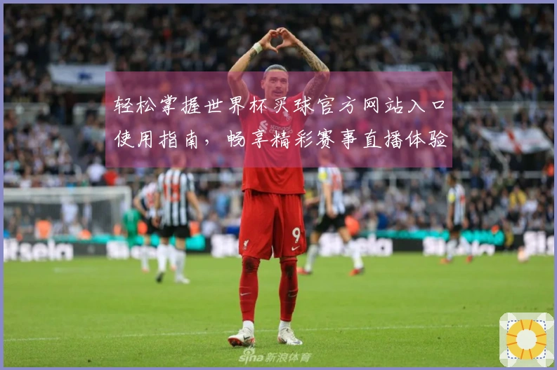 轻松掌握世界杯买球官方网站入口使用指南，畅享精彩赛事直播体验