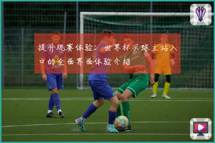 提升观赛体验：世界杯买球主站入口的全面界面体验介绍