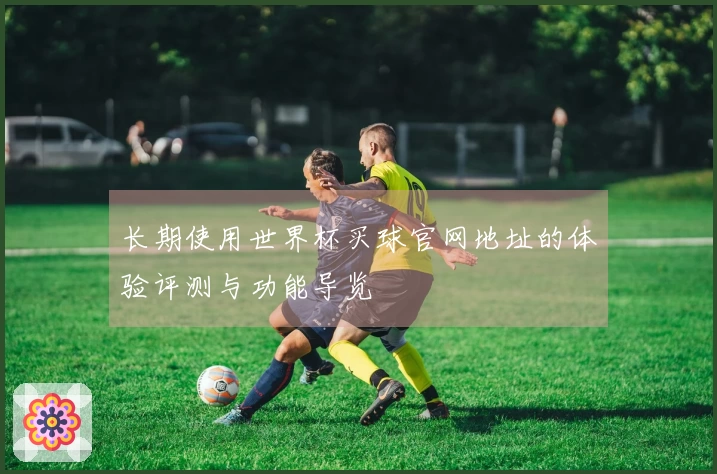 长期使用世界杯买球官网地址的体验评测与功能导览