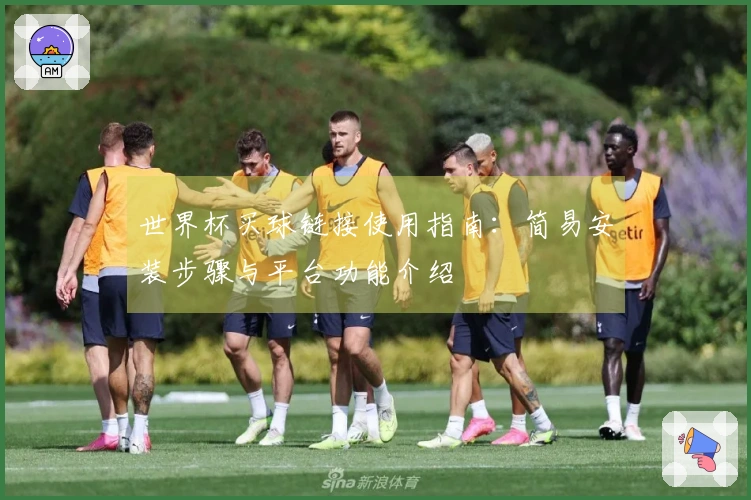 世界杯买球链接使用指南：简易安装步骤与平台功能介绍