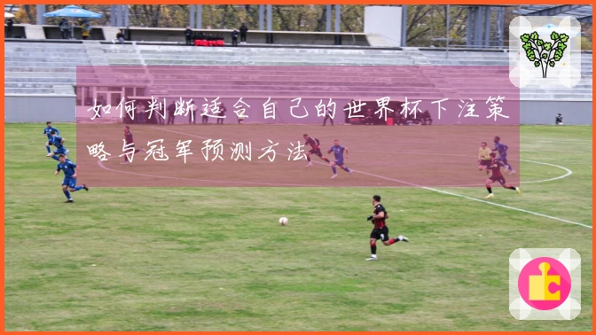 如何判断适合自己的世界杯下注策略与冠军预测方法