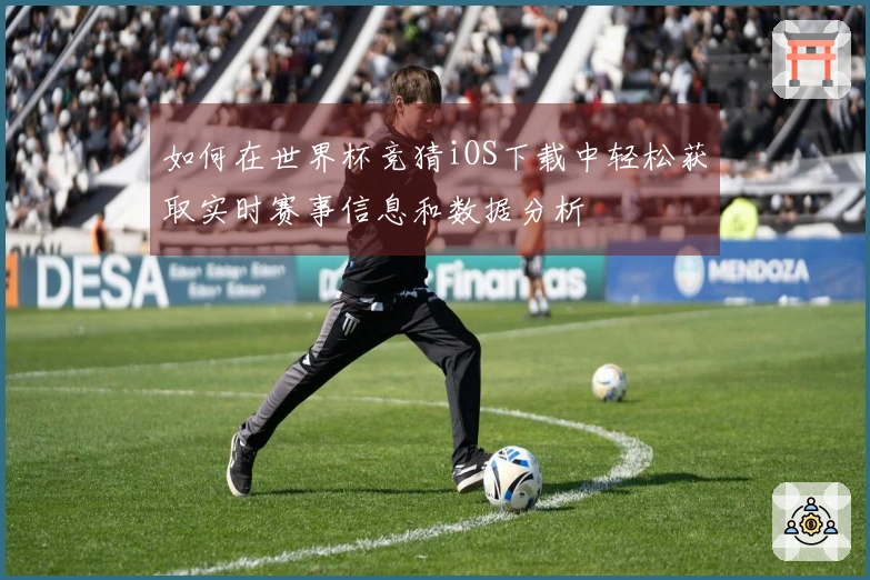如何在世界杯竞猜iOS下载中轻松获取实时赛事信息和数据分析