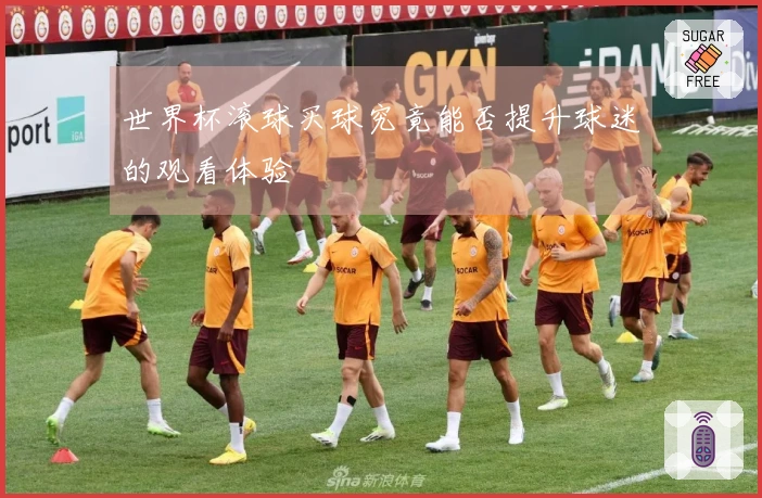 世界杯滚球买球究竟能否提升球迷的观看体验