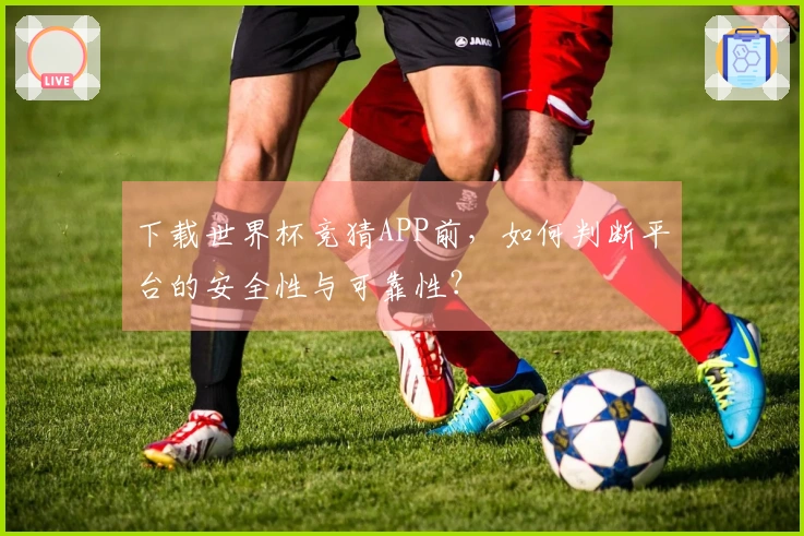 下载世界杯竞猜APP前，如何判断平台的安全性与可靠性？