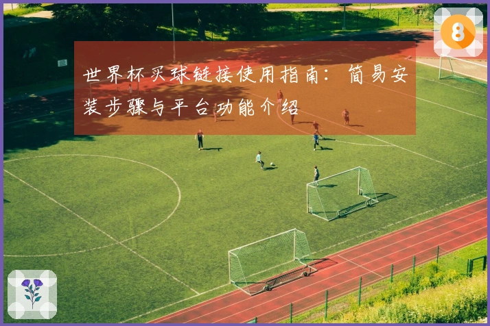 世界杯买球链接使用指南：简易安装步骤与平台功能介绍