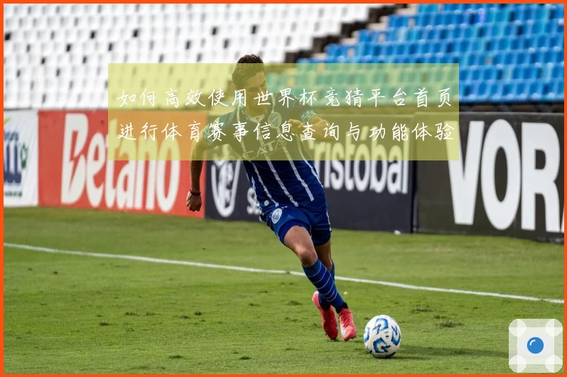 如何高效使用世界杯竞猜平台首页进行体育赛事信息查询与功能体验