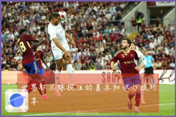 世界杯买球投注的基本知识与技巧分享