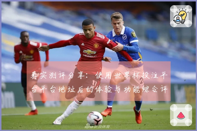 真实测评分享：使用世界杯投注平台平台地址后的体验与功能综合评估