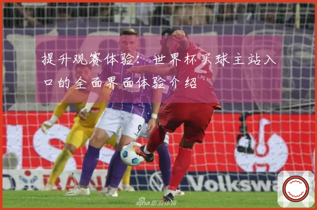 提升观赛体验：世界杯买球主站入口的全面界面体验介绍