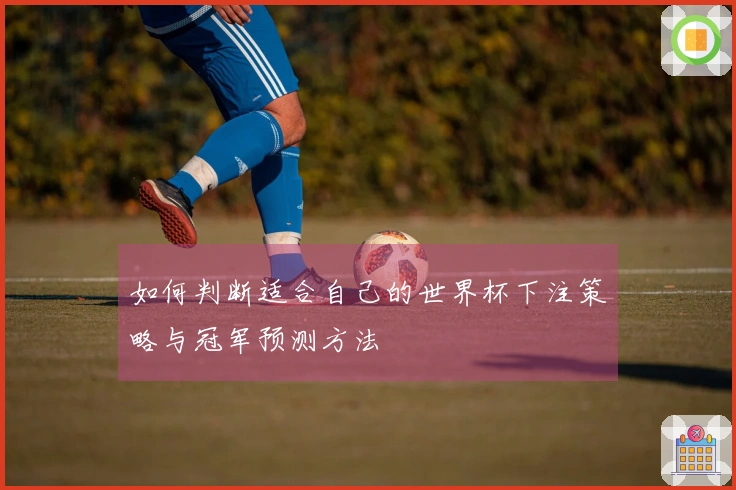 如何判断适合自己的世界杯下注策略与冠军预测方法