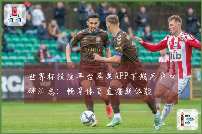 世界杯投注平台苹果APP下载用户口碑汇总：畅享体育直播新体验