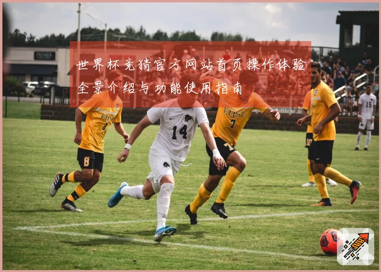 世界杯竞猜官方网站首页操作体验全景介绍与功能使用指南