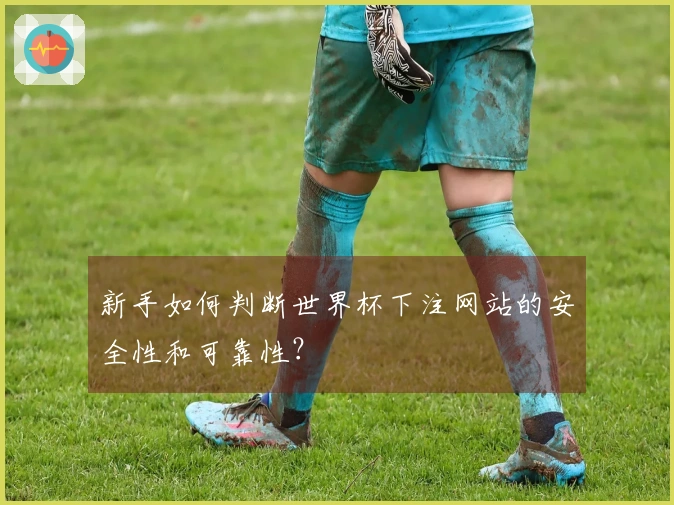 新手如何判断世界杯下注网站的安全性和可靠性？